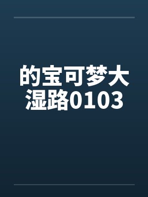 的宝可梦大湿路0103